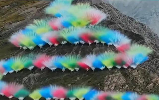 我们究竟需要怎样的“生态艺术”