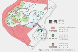 周游天下丨中国大熊猫保护研究中心卧龙神树坪基地：禁止使用闪光灯拍摄大熊猫图片