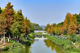 广州明天起气温回升，但早晚仍寒冷，昼夜温差大图片