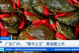 一只2000元？！网红“蟹中之王”上市了图片