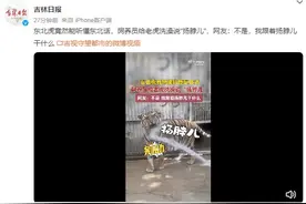 东北虎竟然能听懂东北话：饲养员给老虎洗澡说“扬脖儿”图片
