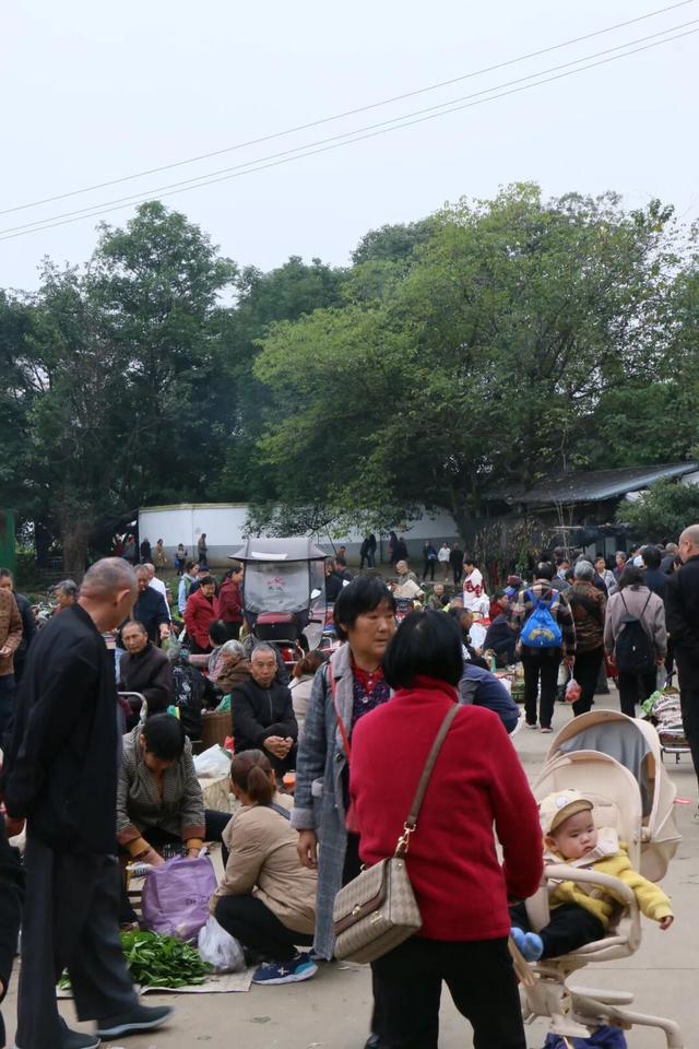 龙泉的早高峰在西河综合市场