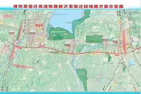 即将开工！潍宿高铁有了新进展图片