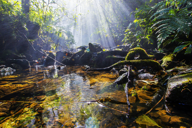 网络中国节·清明丨清明出游不扎堆！云南这些人少景美的宝藏小城别错过