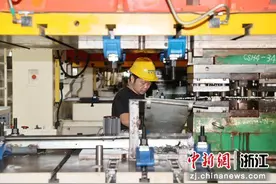 浙江兰溪追新逐绿 推动传统产业“老树发新芽”图片