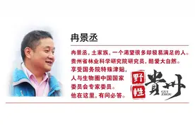 野性贵州 有问必答丨燕雀也有“鸿鹄志”，天高任其自由飞图片