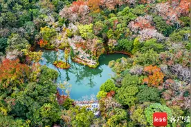 黎苗文化、热带雨林、康养旅游……琼中备好“新春游玩大餐”等你来图片