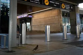 加沙地带战火持续　以色列难解“用工荒”图片