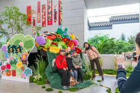 44.5万游客逛公园、探春意图片