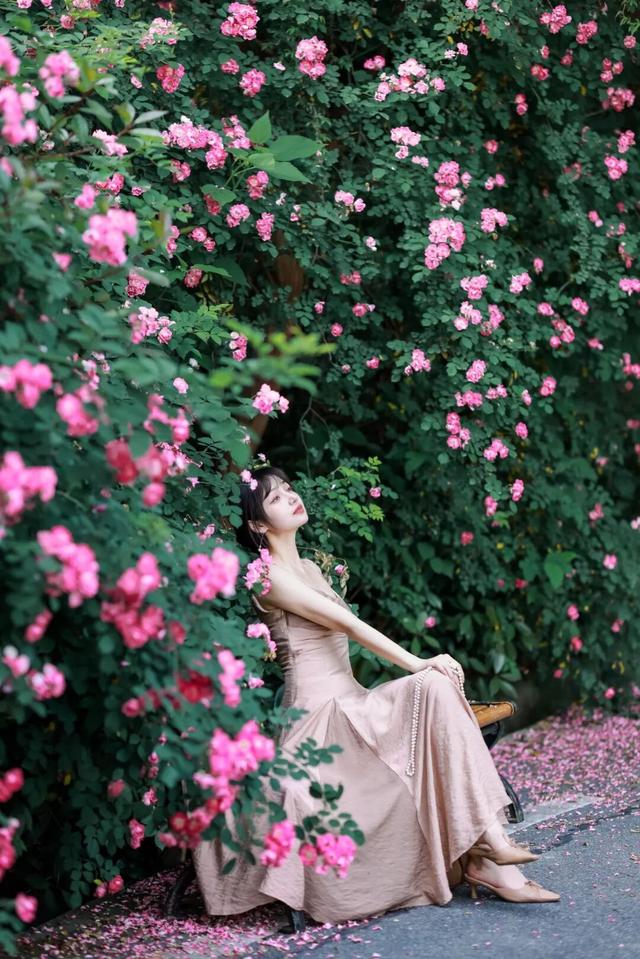 本地人都夸绝！五一黄陂玩法全攻略出炉！