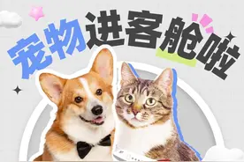 旅客可携带宠物进客舱！深航推出新服务，对宠物有一定要求图片