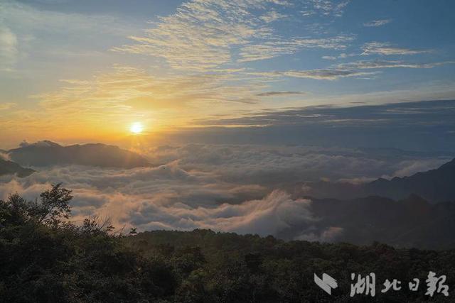 巴东绿葱坡：破晓烟云绘仙境