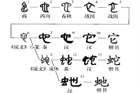 【历史文化】生肖之“蛇”：从古至今的图腾文化‖黄伟图片