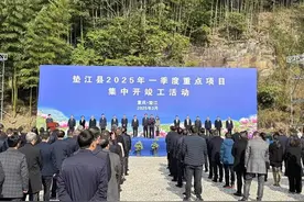 重庆垫江：2025年一季度101个重点项目集中开竣工 总投资达175.2亿元图片