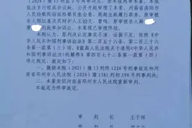 河南南阳“鹦鹉案”再审宣判图片