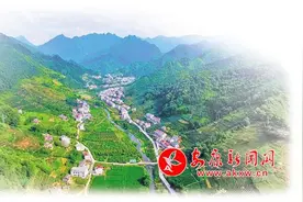 从富民之计到强区之业——汉滨区推动“陕茶一号”茶产业高质量发展之综述篇图片