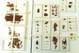 出土于长沙的国宝子弹库帛书二、三卷回归祖国图片