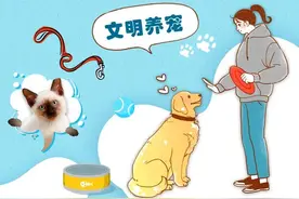 宠物行为，主人“买单” 法官详解养宠纠纷那些事图片