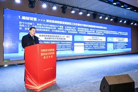 最新发布，河南企业首席数据官制度建设有了指引图片