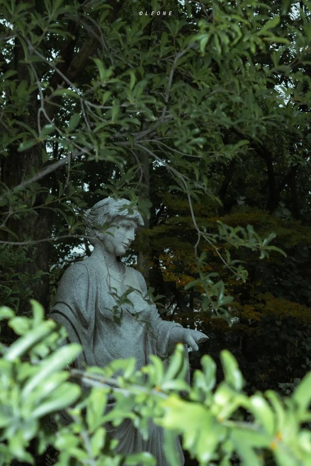 顶级美学！西安这4个园林，美到失语！