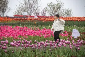 重庆大渡口——城乡融合为老工业基地转型注入新动能图片