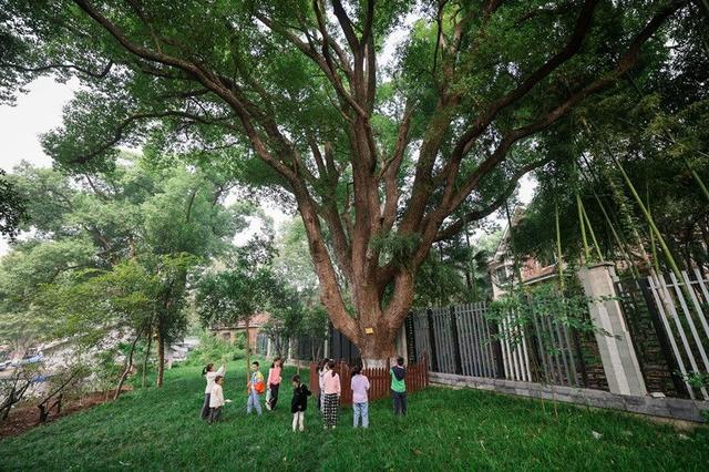 东湖听涛里，藏着从私家花园到世界名湖的密码