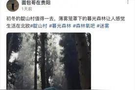 黔景丨冬游贵州拍“森系大片”！这几种风格，等你来打卡→图片