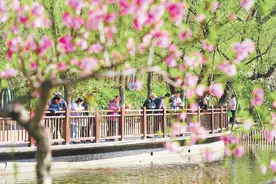 北京市属公园踏青赏花人气旺图片