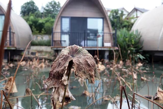 播州宿语｜乌荷·春山，慢下来的时光