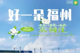 没有什么花比她更懂福州的夏天！图片