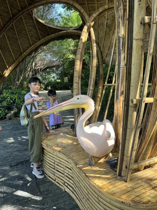 来南沙看五月天！看海、骑行……100+网红打卡点合集→