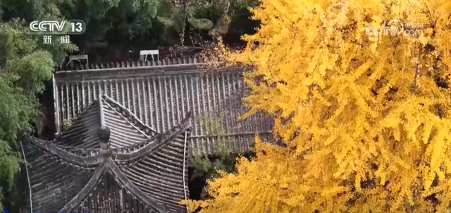 特色赏秋游热潮澎湃 “文旅+”新场景新业态激发“秋日经济”活力