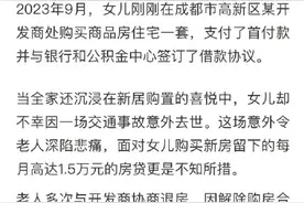 乡下老人为离世女儿月还1.5万房贷 老人寻求法院帮助图片