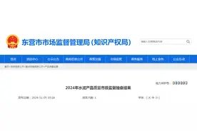 山东省东营市公布2024年水泥产品质量市级监督抽查结果图片