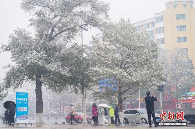 “哈亚雪”旅游线迎初雪 黑龙江冰雪季盼客来