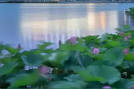 夏天与湖水最般配！乘坐公共交通去五个新城看湖吧~图片