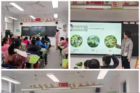 合肥市新麓小学开展“播种希望，绿动未来”植树节主题活动图片