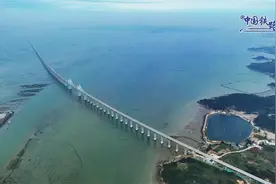 这条新开通的跨海高铁，好美！图片