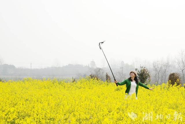京山：阳春三月 赏花正当时
