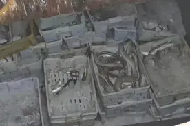 这事万万不可做！一渔船在舟山被查获！图片