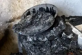 保温4小时，米饭变黑炭……图片