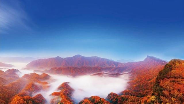 “我把红叶寄给你”，四川巴中在沪发出邀约：来光雾山赏天然“红毯”