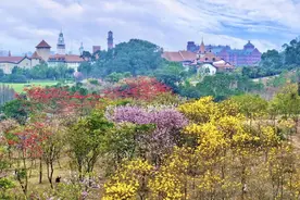 绿美松山湖，已是next level图片