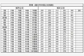 一码通行！上海嘉兴率先实现公共交通乘车码互联互通图片