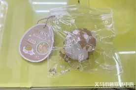 义乌又出“爆款”！这次是……图片