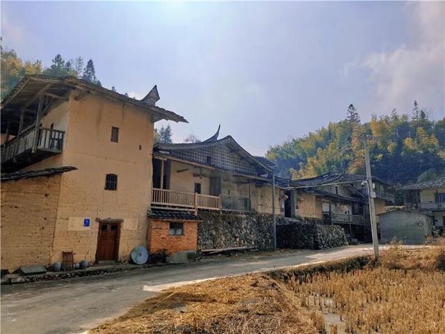 南洋风里飘着的根