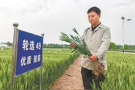 科技联姻“巧生金”图片