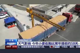 “黑科技”升级粮食“住”进好房子 今年粮食收购储存有新亮点→图片