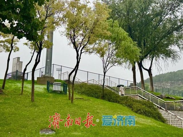 一年四季 泉在济南丨秋雨润奥体 银杏苦楝绘秋景