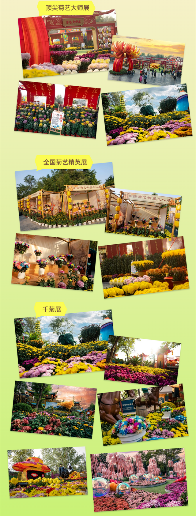 满城芬芳翩然而至！开封接下来…